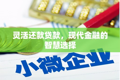 玉田灵活还款贷款，现代金融的智慧选择