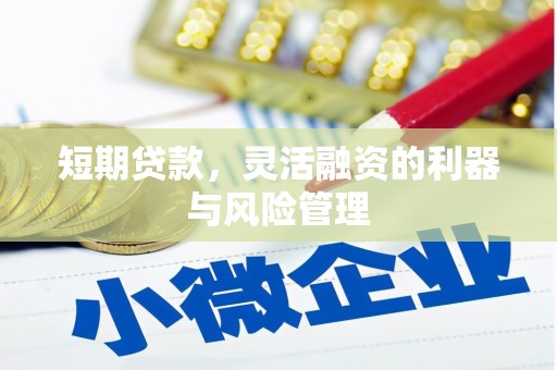 玉田短期贷款，灵活融资的利器与风险管理