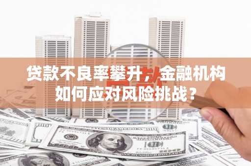 玉田贷款不良率攀升，金融机构如何应对风险挑战？