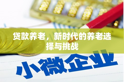 玉田贷款养老，新时代的养老选择与挑战
