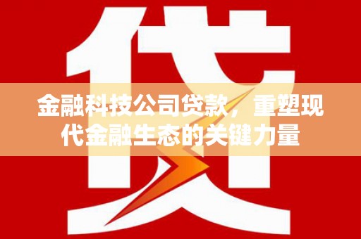 玉田金融科技公司贷款，重塑现代金融生态的关键力量
