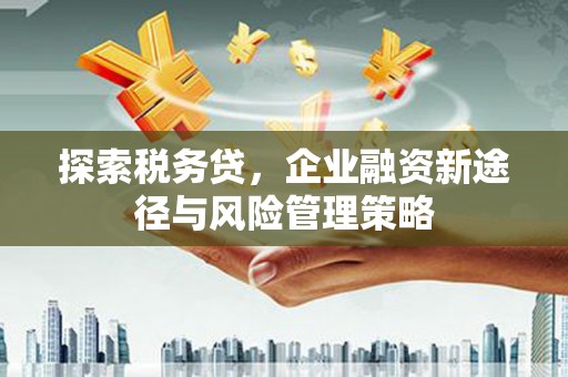 玉田探索税务贷，企业融资新途径与风险管理策略