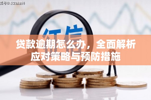 玉田贷款逾期怎么办，全面解析应对策略与预防措施