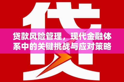 玉田贷款风险管理，现代金融体系中的关键挑战与应对策略