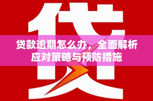 玉田贷款逾期怎么办，全面解析应对策略与预防措施