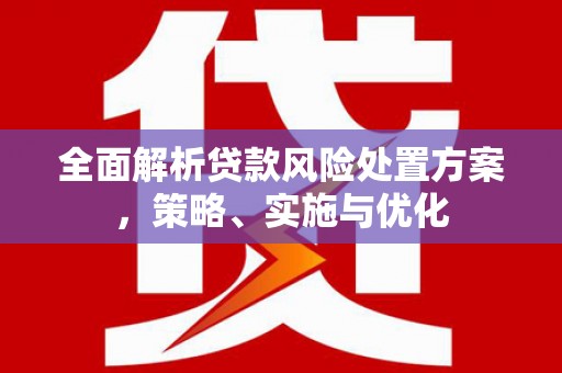 玉田全面解析贷款风险处置方案，策略、实施与优化