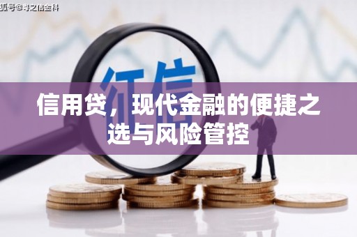 玉田信用贷，现代金融的便捷之选与风险管控