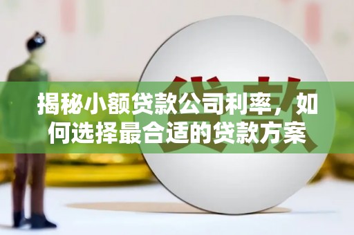 玉田揭秘小额贷款公司利率，如何选择最合适的贷款方案