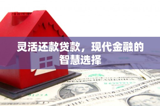 玉田灵活还款贷款，现代金融的智慧选择