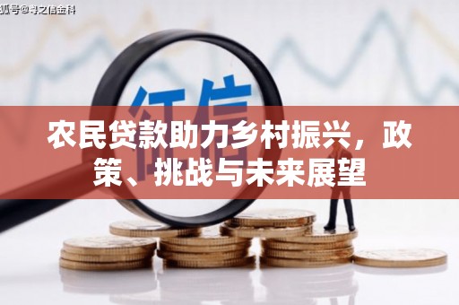 玉田农民贷款助力乡村振兴，政策、挑战与未来展望