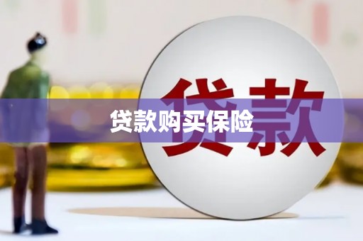 玉田贷款购买保险