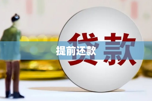 玉田提前还款
