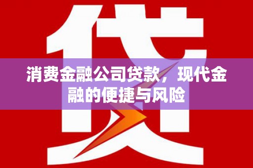 玉田消费金融公司贷款，现代金融的便捷与风险