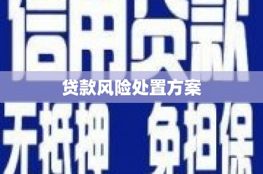 玉田贷款风险处置方案