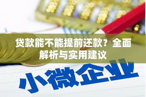 玉田贷款能不能提前还款？全面解析与实用建议