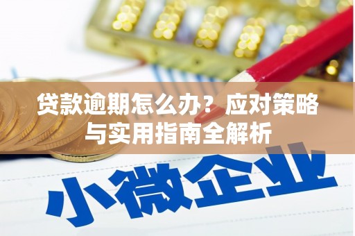 玉田贷款逾期怎么办？应对策略与实用指南全解析