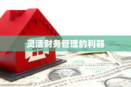 玉田灵活财务管理的利器