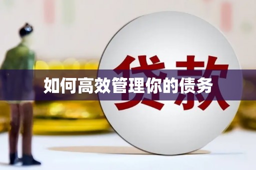 玉田如何高效管理你的债务