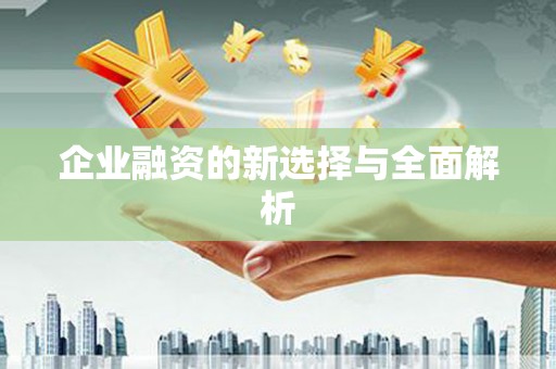 玉田企业融资的新选择与全面解析