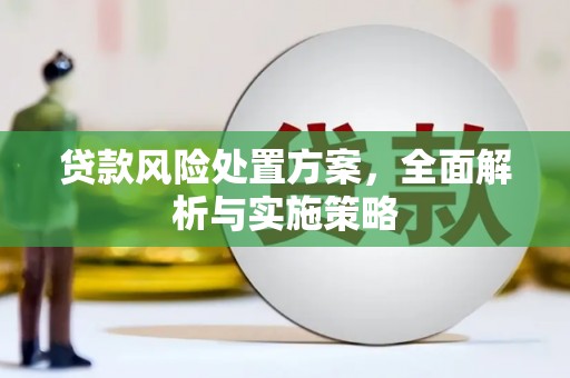 玉田贷款风险处置方案，全面解析与实施策略