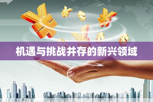 玉田机遇与挑战并存的新兴领域