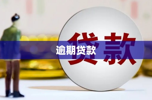 玉田逾期贷款